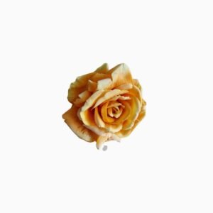 Maxi Rosa Amarilla Aterciopelada