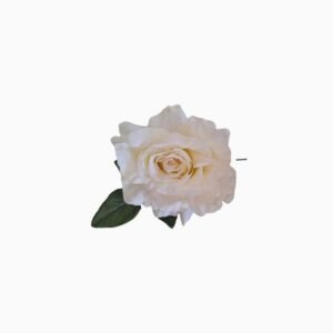 Maxi Rosa Blanca con Tallo
